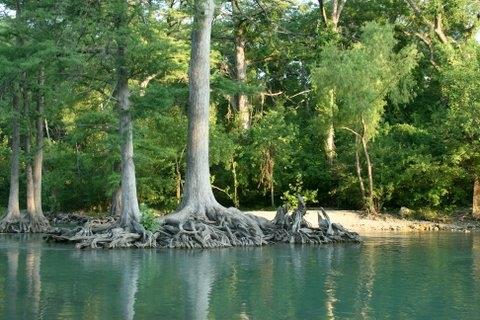 Canyon Lake, Texas area.