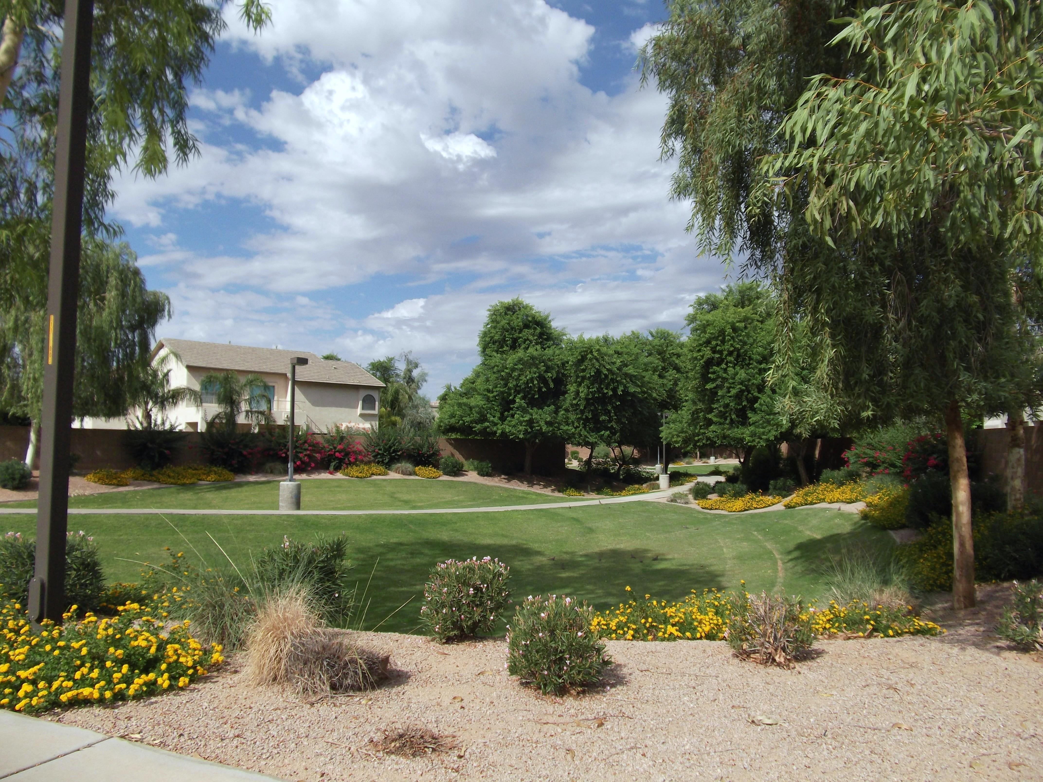 Homes for Sale in Gilbert Commons, Gilbert Commons Homes for Sale