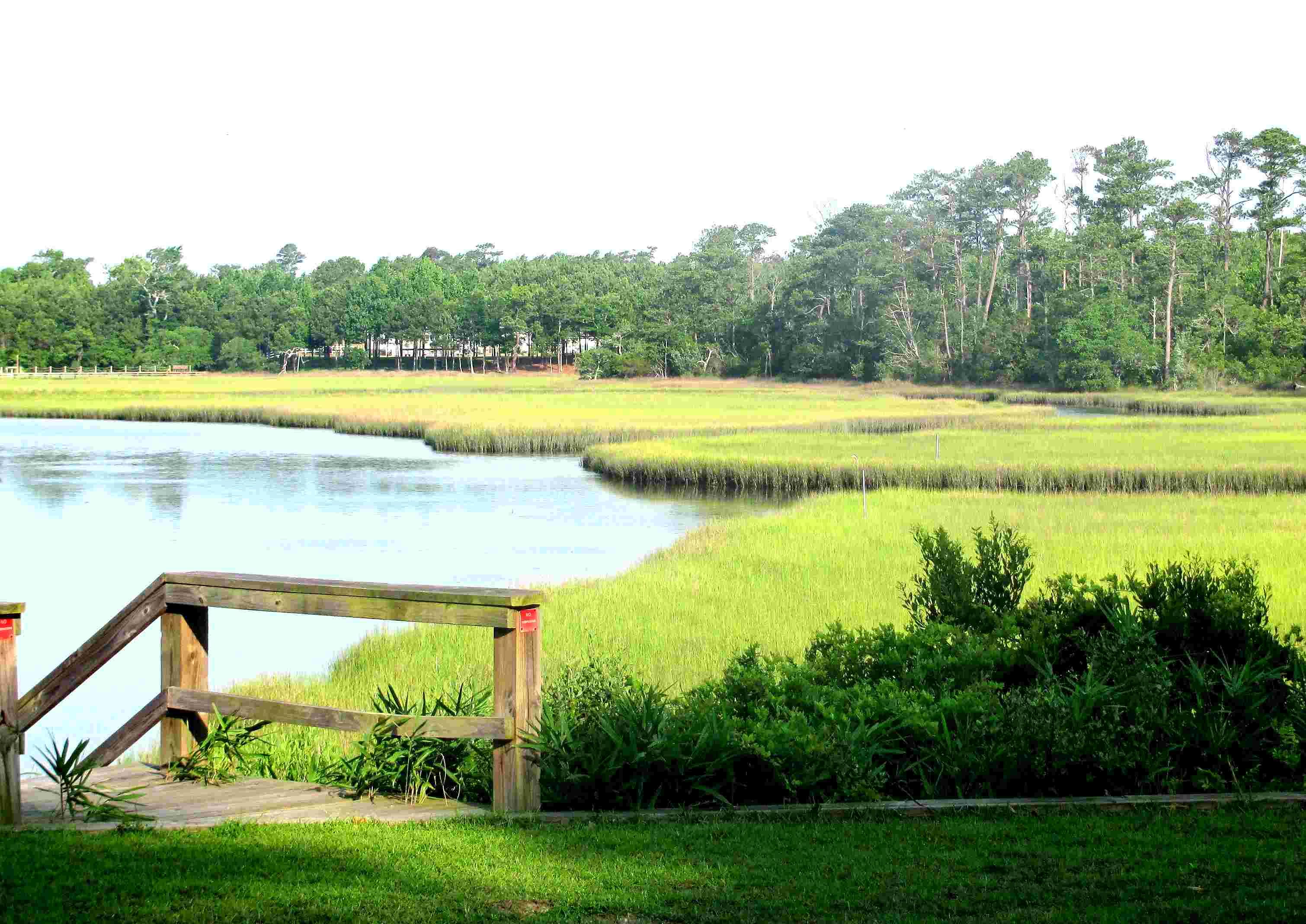 Hampstead, North Carolina, 173 acres For Sale, Creek Shoreline