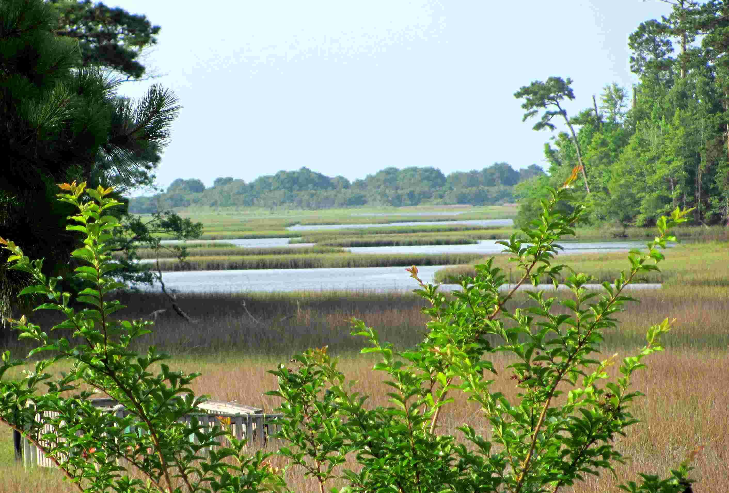 Hampstead, North Carolina, 173 acres For Sale, View to Salt Marsh