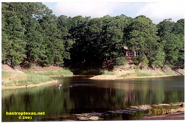 Bastrop State Park. Bastrop State Park