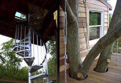 Treehouses: Not Just for Kids Anymore!