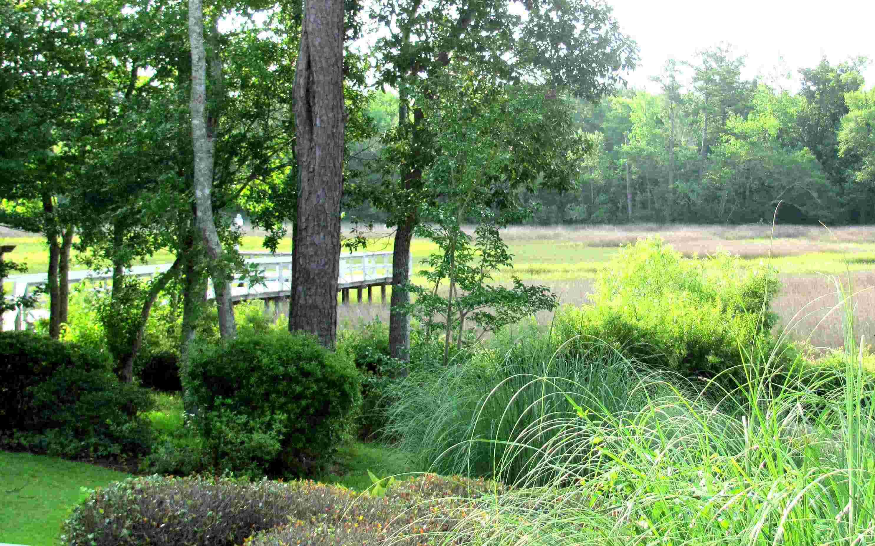 Hampstead, North Carolina, 173 acres For Sale, Shoreline View