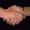 2 hands clasped in a handshake