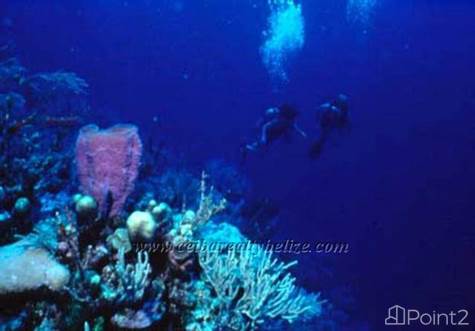 Map Of Belize Barrier Reef. The Belize Barrier Reef