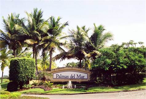 Palmas Del Mar Puerto Rico