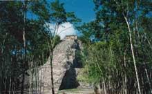 Coba ruins (Tallest pyramid on the Yucatan Peninsula)