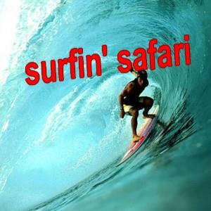 Surfer inside wave riding wave 