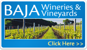 Baja Wineries and Vineyards