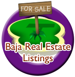 Baja Real Estate