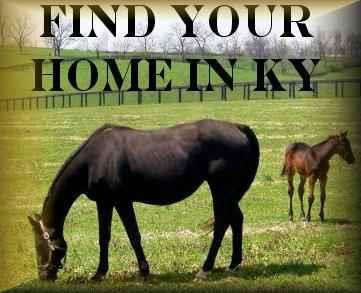 Lexington KY homes for sale - Lizette Realtty - 859-979-2834