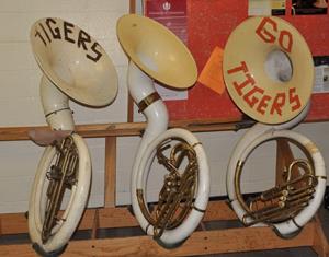 Tiger Horns