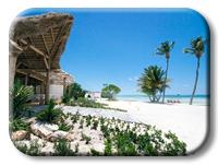 Punta Cana Real Estate Dominican Republic Condos For Sale 