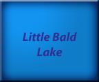 Little Bald Lake - Kawartha Lakes Real Estate - Waterfront Homes and Cottages - Lake Facts