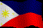 Flag Of Phillipines
