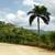 Cabeza de Toro Lan for Sale Punta Cana Real Estate Dominican Republic