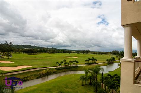 Sugar Cane Golf course
