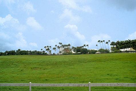 Barbados Luxury,  Close-up of Polo field