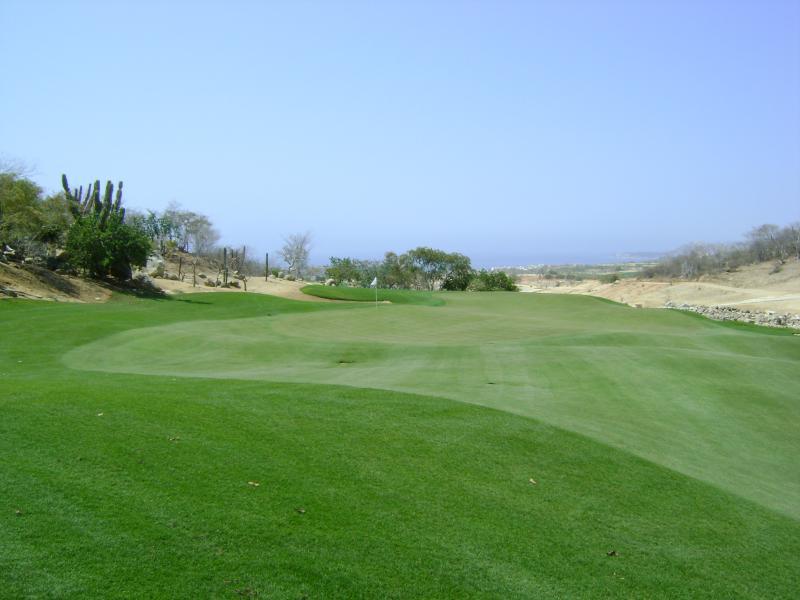 Club Campestre, San Jose del Cabo, Baja California Sur, by Connie Bezeredi