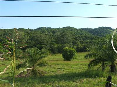 # 2033 - 118 ACRES LAND - Floral Park, Cayo, Belize