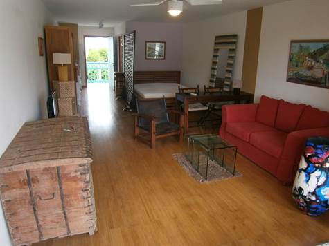 renovated-apartment-mont-vernon-sale (9)