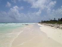 Lots and Land for Sale in Mahahual, Quintana Roo $280,000