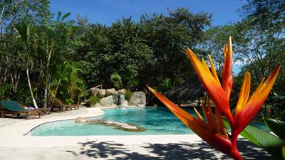 AMAZING LODGE IN HEART OF TROPICAL FORESTS, SURF, NATURE, YOGA, RELAX, WORLD CLASS BEACH AND SURF