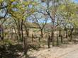 Lots and Land for Sale in Junquillal Beach, Guanacaste $199,000