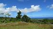 Lots and Land for Sale in St. Thomas , St. Thomas $7,505,000