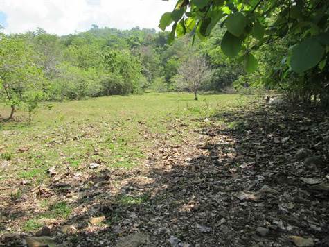 12.75 ACRES - Flat Usable Pasture Land With Paved Road Frontage In Town Of Hatillo!!!