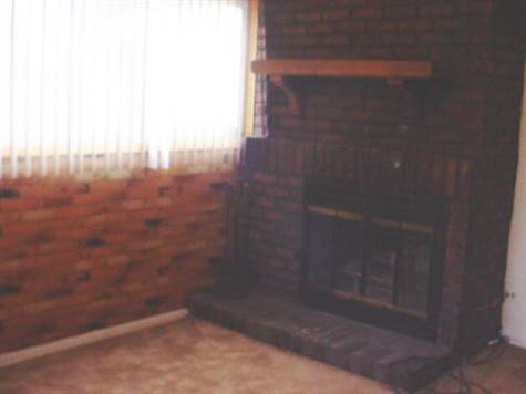 FAMILY ROOM FIREPLACE