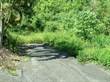 Farms and Acreages for Sale in Barrio Bayaney, Hatillo, Puerto Rico $150,000