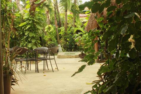 Tropical garden