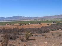 Farms and Acreages for Sale in Valle de Guadalupe, Ensenada, Baja California $1,232,000