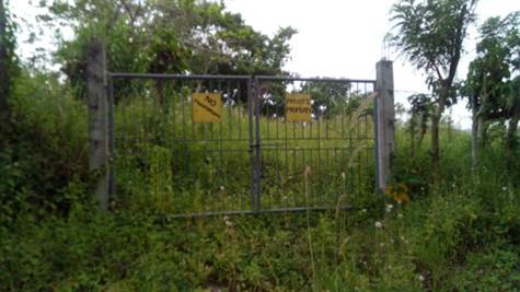 Gated and fenced vacant lot