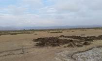 Lots and Land for Sale in Maneadero, Ensenada, Baja California $175,000