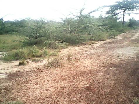 Real Estate investment in Kenya in Kwale