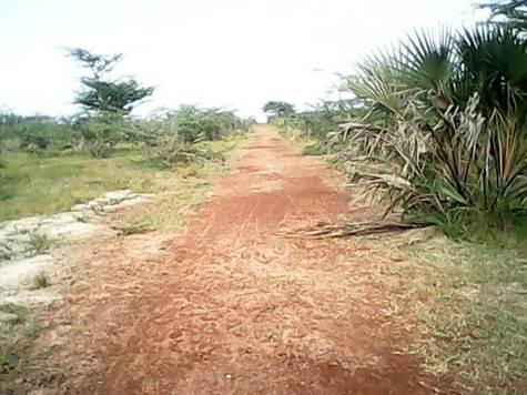 Agricultural farm land for sale in Kenya