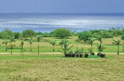 Barbados Luxury, Ocean View