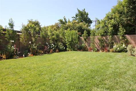 Backyard Lawn