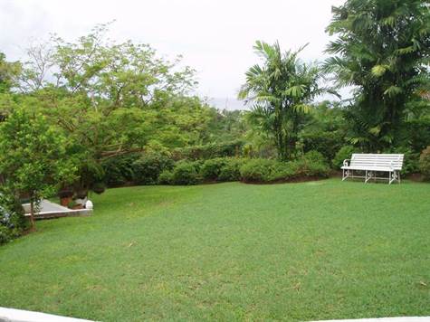 Barbados Luxury,   Side-shot of Garden