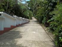 Homes for Sale in Manuel Antonio, Puntarenas $1,300,000