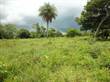 Lots and Land for Sale in Cañas, Guanacaste $7,000,000