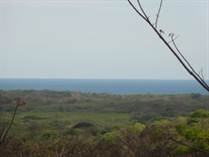 Lots and Land for Sale in Playa Avellanas, Guanacaste $55,000
