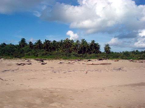 4 Beachfront Land near Cabarete