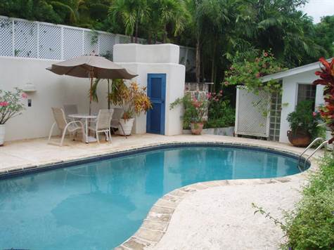 Barbados Luxury,   Side-shot of The Swimming Pool