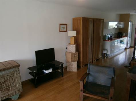 renovated-apartment-mont-vernon-sale (8)