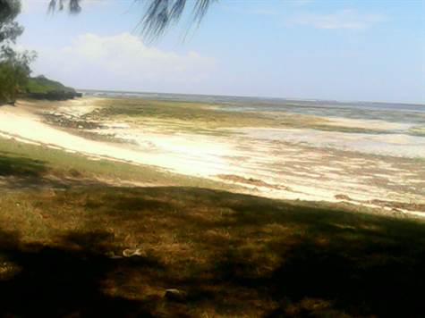 Ocean front property to let in Malindi Kenya