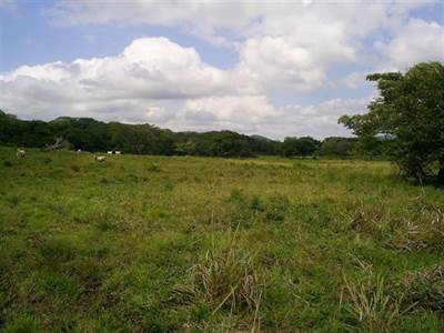 Beautiful Land For Good Investment Opportunity