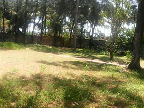The garden for malindi real estate to rent